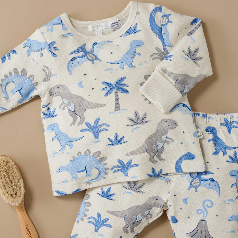 purebaby dinosaur kids pyjama set