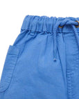 Linen Blend Shorts Nile