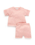 purebaby organic cotton baby girl clothes pink scalloped knit set kids
