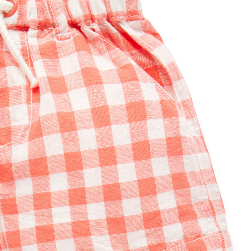 Festive Gingham Shorts