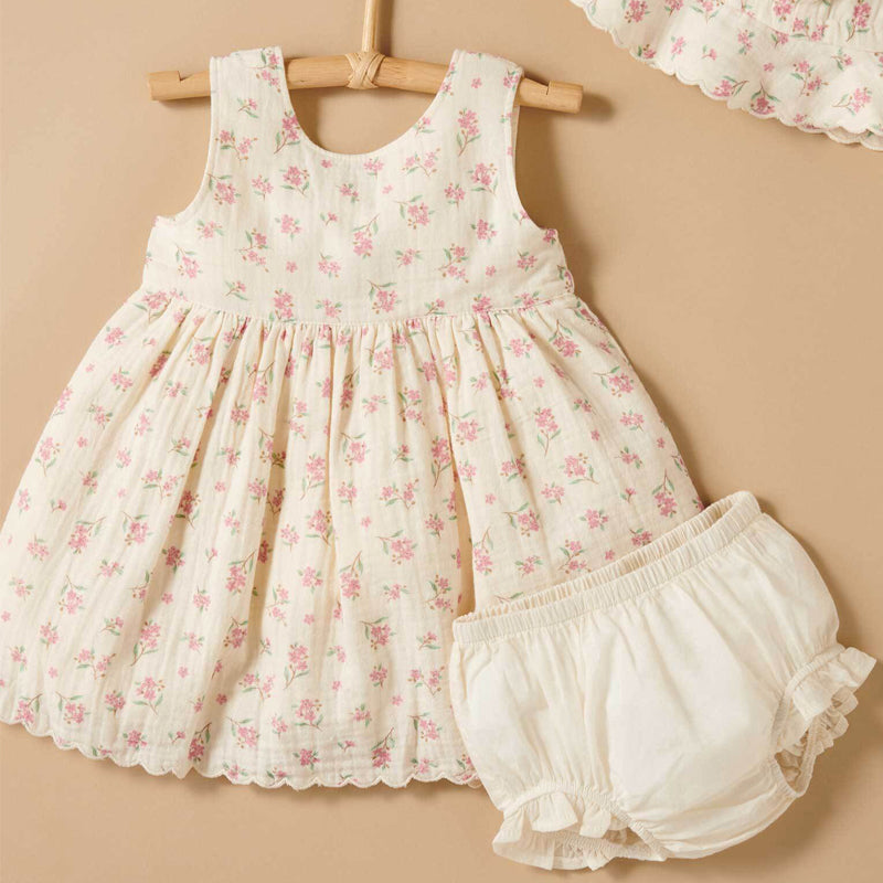 Armeria Bow Dress