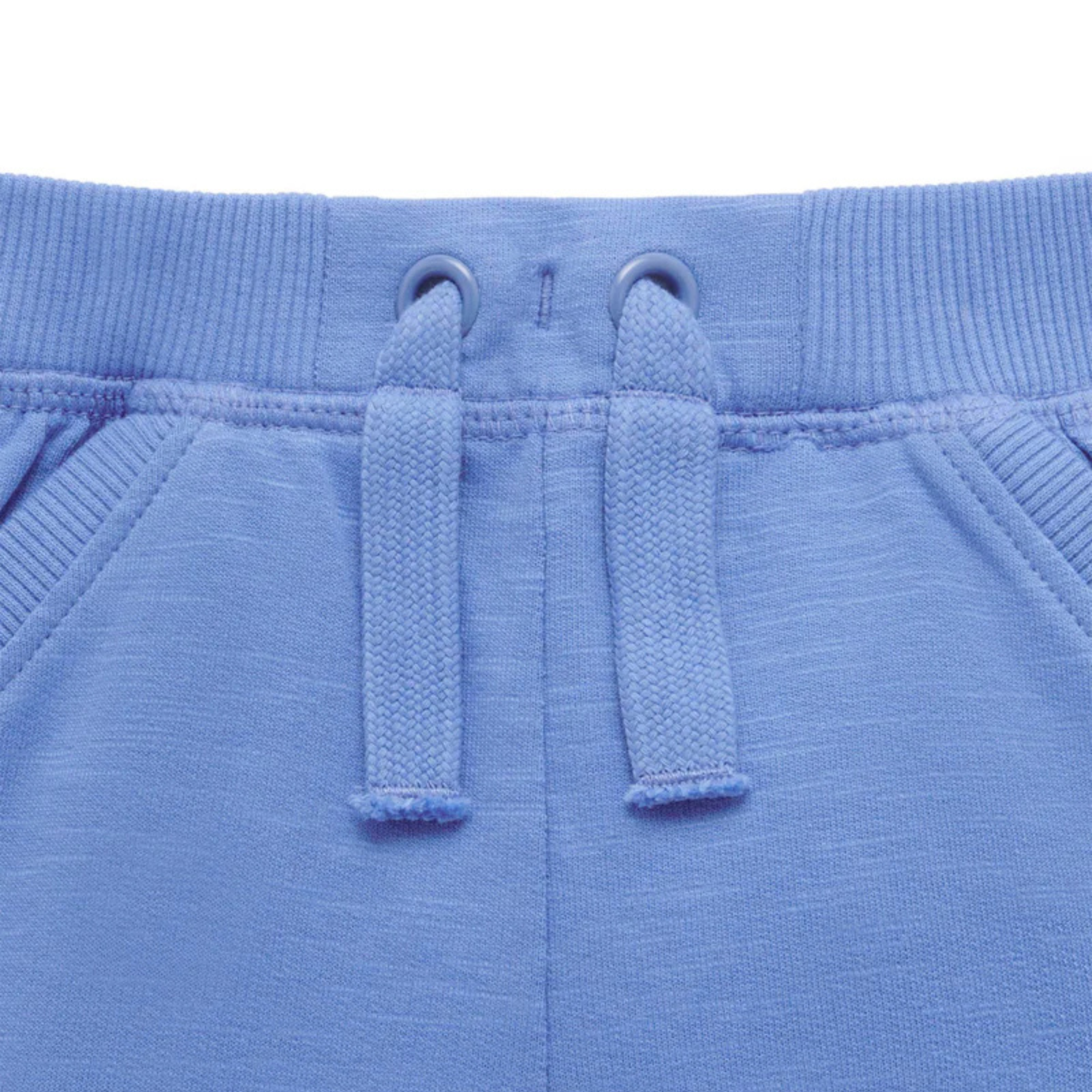 Blue Casual Shorts