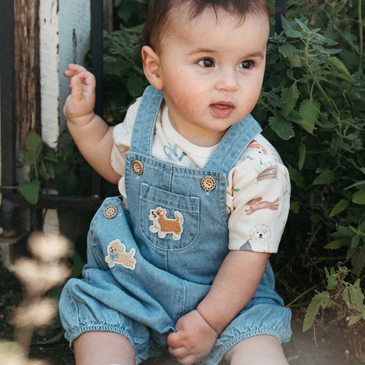 Blue Doggy Denim Overall Set