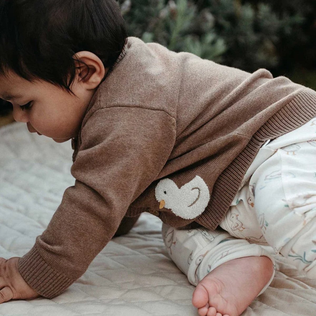 purebaby organic goose cardigan organic cotton baby clothes