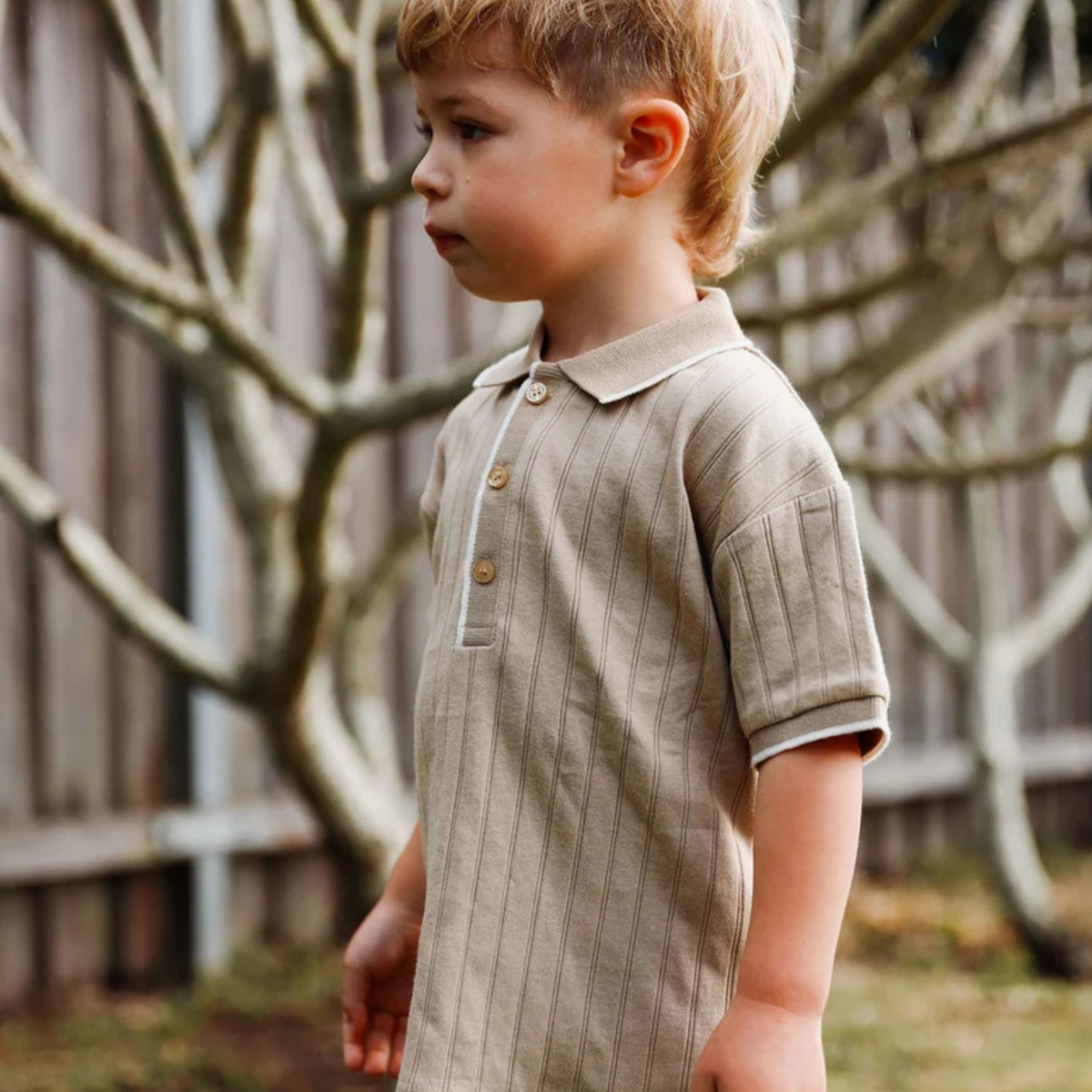 purebaby organic rib polo tee boys