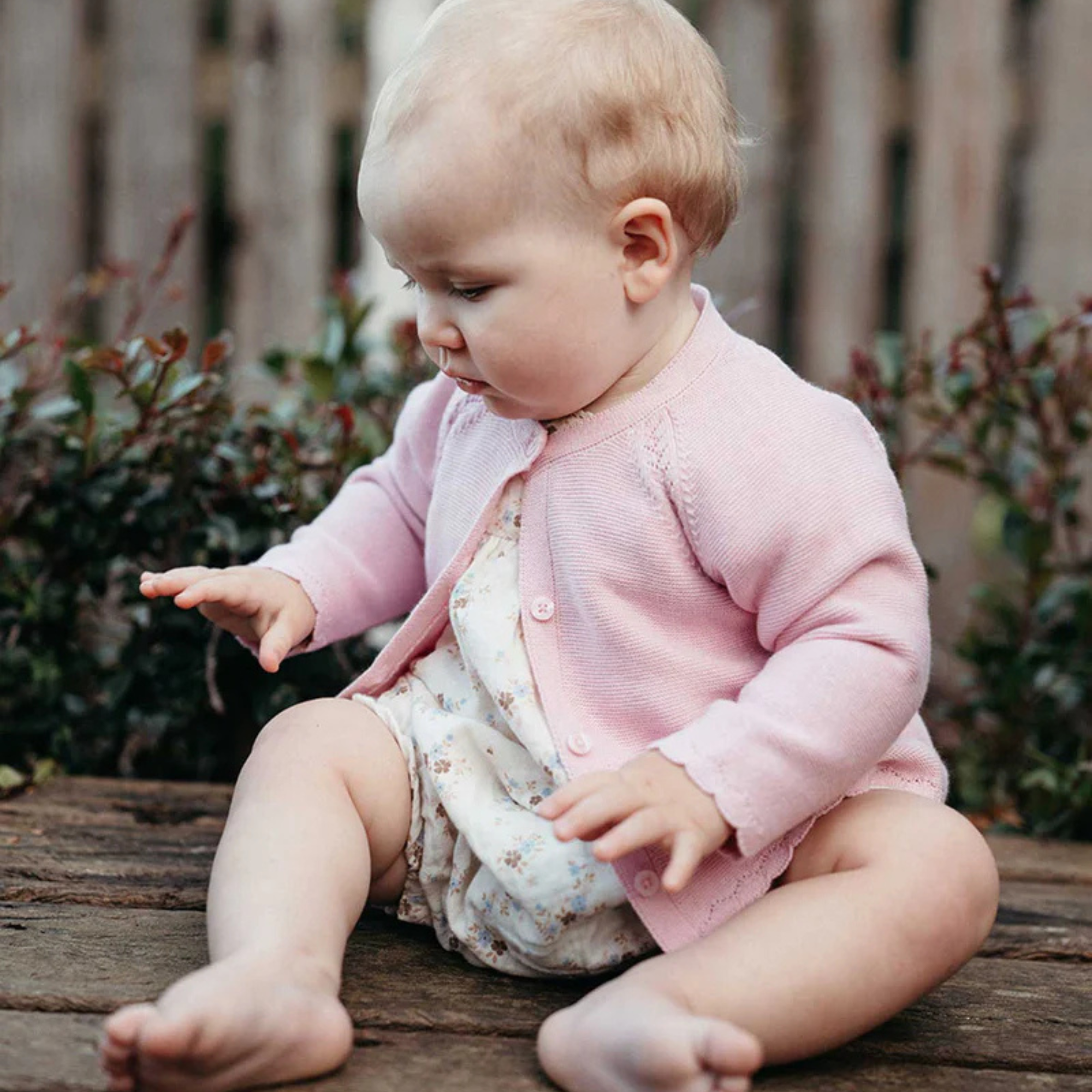 Petunia Scalloped Cardigan