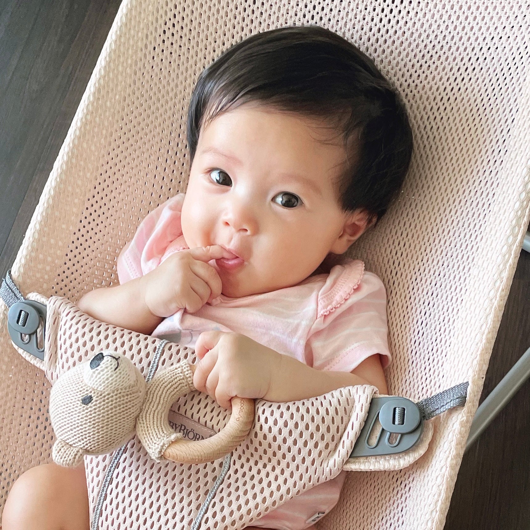 purebaby knitted bear rattle for newborn baby