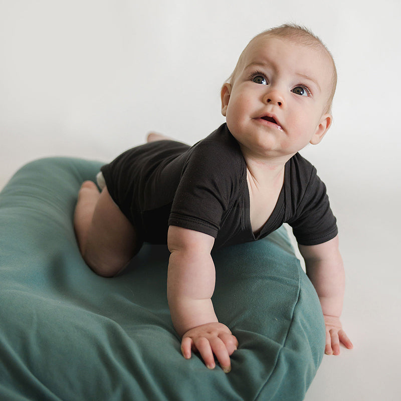 snuggle me organic infant lounger cover only moss